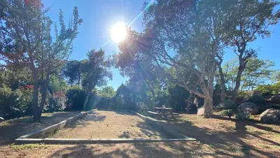a sun shining through trees on a dirt road at VILLA ISULA by Intendance Excellency in Sainte-Lucie de Porto-Vecchio
