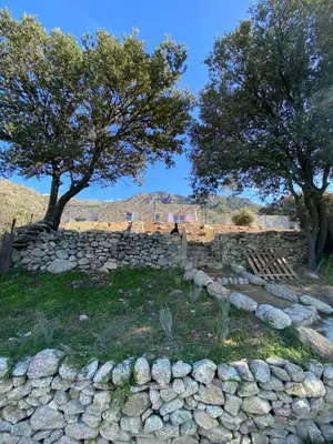 a stone wall with two trees in the background at Résidence Casarella Lama in Lama