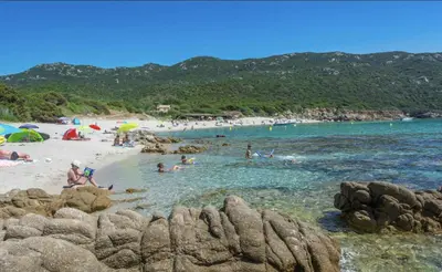 a group of people on a beach in the water at Toit Terrasse centre historique in Ajaccio