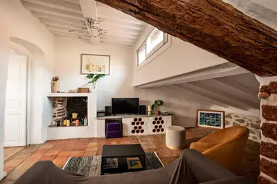 a living room with a vaulted ceiling with a fireplace at Toit Terrasse centre historique in Ajaccio