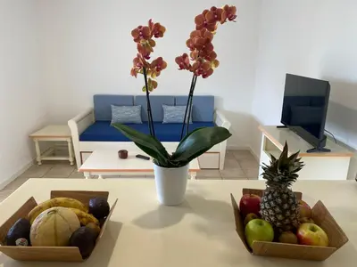 two boxes of fruit on a table in a living room at Santa Giulia - Le village de L'hacienda in Porto-Vecchio