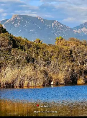 a body of water with mountains in the background at T2 type new yorkais in Ajaccio