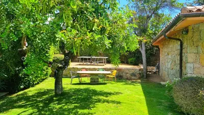 a garden with a table and chairs under a tree at Villa Lucendiluna 10 personnes piscine 5 min plage en voiture in Sainte-Lucie de Porto-Vecchio
