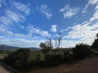 a blue sky with clouds and trees on a dirt road at Porto-Vecchio, Luxe et lumière, Stanatura in Porto-Vecchio