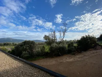 a view of a dirt road with bushes and trees at Porto-Vecchio, Luxe et lumière, Stanatura in Porto-Vecchio