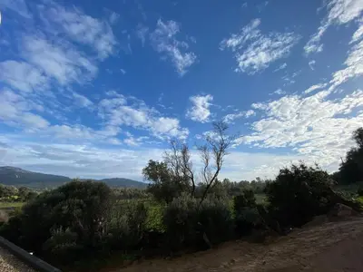 a blue sky with clouds and trees on a dirt road at Porto-Vecchio, Luxe et lumière, Stanatura in Porto-Vecchio