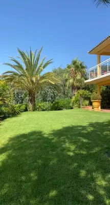 a green yard with palm trees and a house at Villa RUSCANA AVEC PISCINE PRIVÉE in Sainte-Lucie de Porto-Vecchio