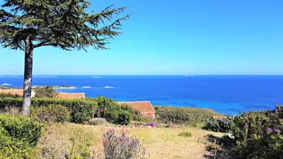 a tree on a hill with the ocean in the background at Maison 4 pièces, vue panoramique, piscine, climatisation, près de Palombaggia in Porto-Vecchio