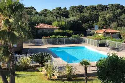 a large swimming pool in a yard with trees at Appartement Les Hameaux de Pinarello in Sainte-Lucie de Porto-Vecchio