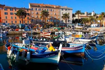 a bunch of boats are docked in a harbor at Suite Letizia in Ajaccio