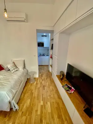 a living room with a bed and a flat screen tv at Suite Letizia in Ajaccio