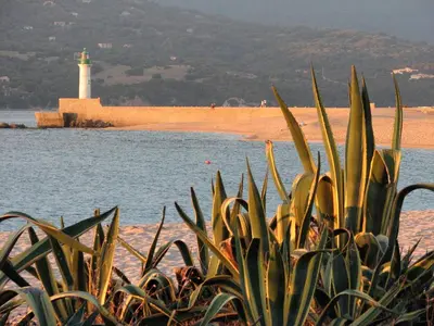 a lighthouse on the shore of a beach with a plant at Jardins de Quatrina centre ville in Propriano