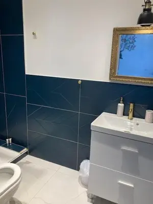 a bathroom with a white toilet and a sink at Hôtel La Demeure Coloniale in Moriani Plage