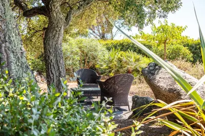two chairs sitting under a tree in a garden at Villa Calyaunati Di San Ciprianu in Lecci