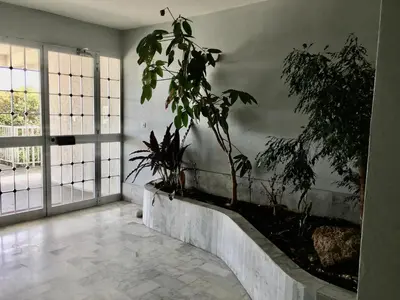 a room with a plant on a wall with windows at studio cappella in Ajaccio