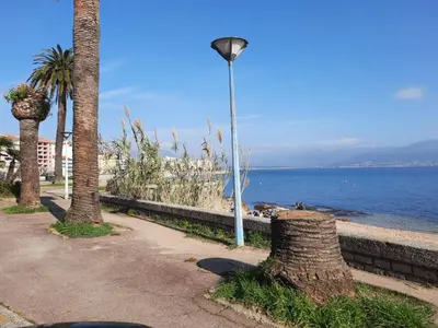 a street light and palm trees next to the ocean at studio cappella in Ajaccio