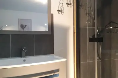 a bathroom with a shower and a sink and a mirror at Corse et Zen BULLE ZEN 25 m² 2 pers + Bébé in Folelli