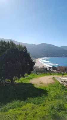 a view of a beach from a hill with a tree at CAMPING U SOMMALU in Casaglione
