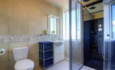 a bathroom with a toilet and a shower and a sink at Gite Casa di Emma in Santo-Pietro-di-Tenda