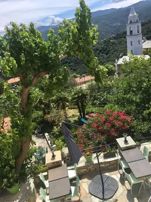 a patio with chairs and an umbrella and a tree at Gite Casa di Emma in Santo-Pietro-di-Tenda