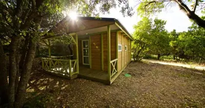 a small wooden cabin with a porch and a tree at Location de chalet Meremaki in Pianottoli-Caldarello