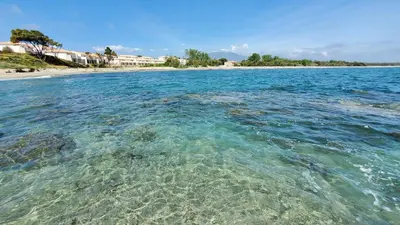 a large body of water with a beach at Résidence Marina Di Bravone in Linguizzetta