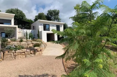 a house with a palm tree in front of it at Villa L'Arbousier 4 pers piscine chauffée 2 min plage en voiture in Sainte-Lucie de Porto-Vecchio
