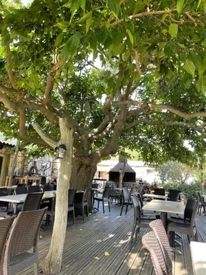 a wooden deck with tables and chairs under a tree at A Machja in Olmiccia