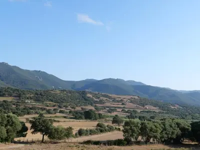a valley with trees and mountains in the background at A Machja in Olmiccia