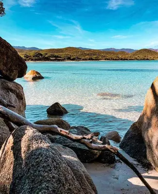 a branch laying on the rocks on a beach at CASA STANATURA in Porto-Vecchio