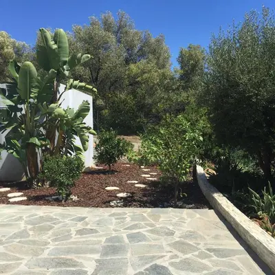a garden with a stone walkway and trees at Le Loft in Ajaccio