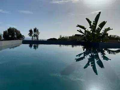 a pool of blue water with a plant next to it at Le Loft in Ajaccio