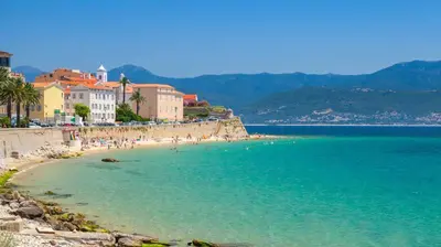 a beach with a group of people in the water at Charmant T2 au coeur de la rue Fesch in Ajaccio