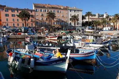 a bunch of boats are docked in a harbor at Charmant T2 au coeur de la rue Fesch in Ajaccio