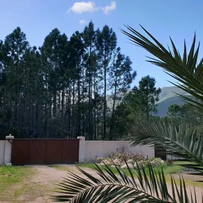 a garden with a fence and a palm tree at Villa Ribba 6 pers piscine 5 min plage en voiture in Gialla