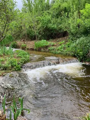 a stream of water in a field with trees at Caselena , un havre de paix en Balagne in Ville-di-Paraso