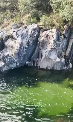 a view of the water from a boat at un ecrin de verdure face à la mer in Isolaccio-di-Fiumorbo