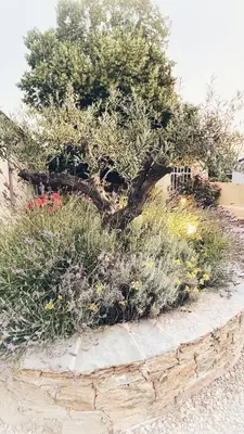 a tree in a flower garden on a stone wall at A Villa di Rutali in Rutali
