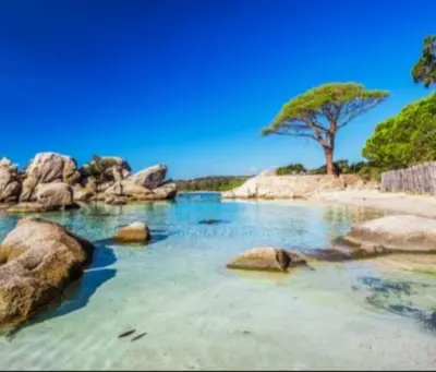 a pool of water with rocks and a tree at Les Bergeries de Piazzagina in Piediquarciu