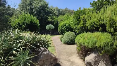 a path in a garden with plants and a rock at Les Bergeries de Piazzagina in Piediquarciu