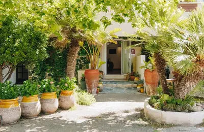a house with palm trees and plants in front of it at Oro Biancu in Lucciana