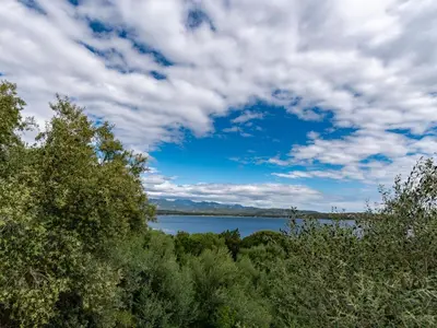 a view of a large body of water with trees at Villa Villa Pavellone by Interhome in Porto-Vecchio