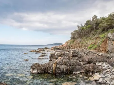 a rocky shoreline with the ocean and trees at Villa Villa Pavellone by Interhome in Porto-Vecchio