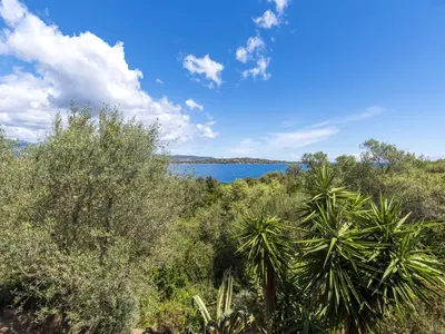 a view of a body of water from a forest at Villa Villa Pavellone by Interhome in Porto-Vecchio