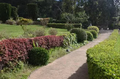 a walkway through a garden with bushes and trees at PORTICCIO BRILOC APPART DUPLEX à 150m de la plage. in Porticcio