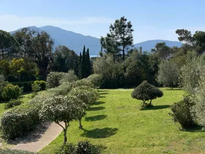 a garden with trees and bushes in a field at Les Villas de Lava in Appietto