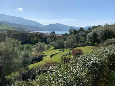 a green field with trees and a body of water at Les Villas de Lava in Appietto