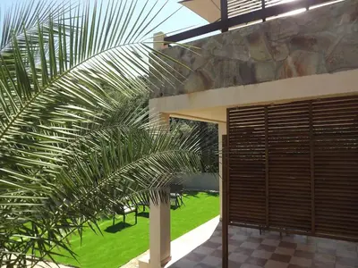 a palm tree next to a house with a porch at LES TERRASSES D ACQUACITOSA in SERRA DI FIUMORBO