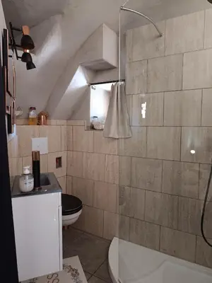 a bathroom with a toilet and a sink at PARFUMU DI MACHJA in Santa-Lucia-di-Mercurio