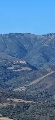 an aerial view of a mountain with trees and houses at PARFUMU DI MACHJA in Santa-Lucia-di-Mercurio